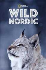 D+ - Wild Nordic (US) 14