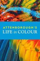 [SE] Attenborough's Life in Colour 14