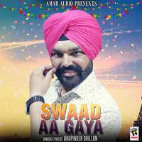 IN - Swaad Aa Gaya 2 14