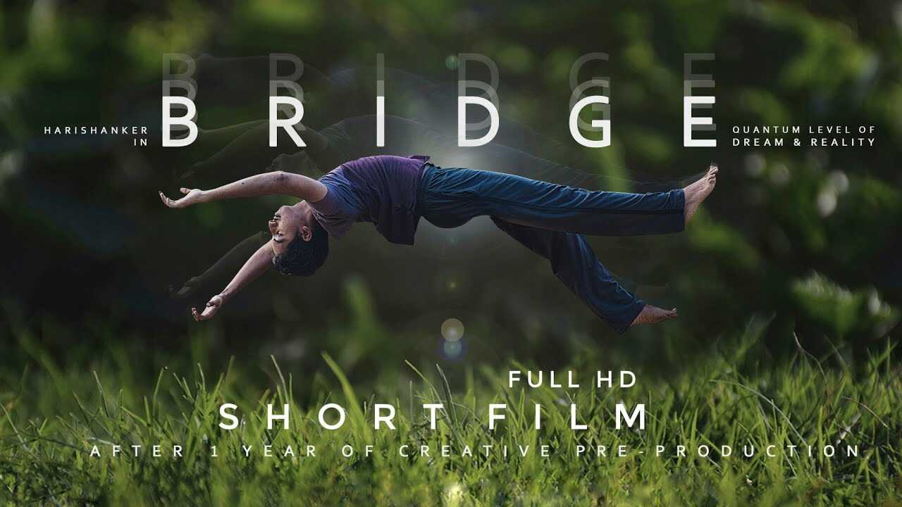 ML - BRIDGE 14