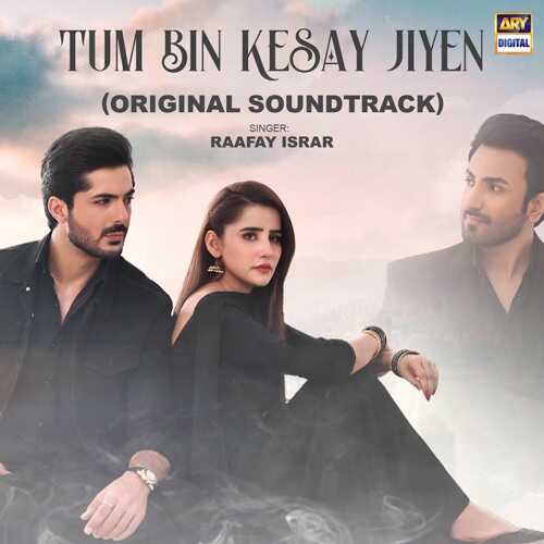 UR - Tum Bin Kesay Jiyen 14