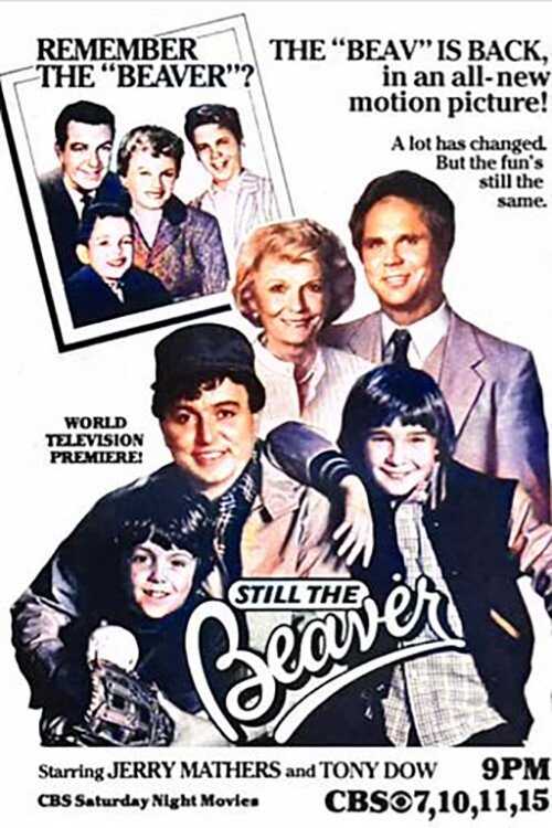EN - Still The Beaver, The New Leave It To Beaver (1984) 14