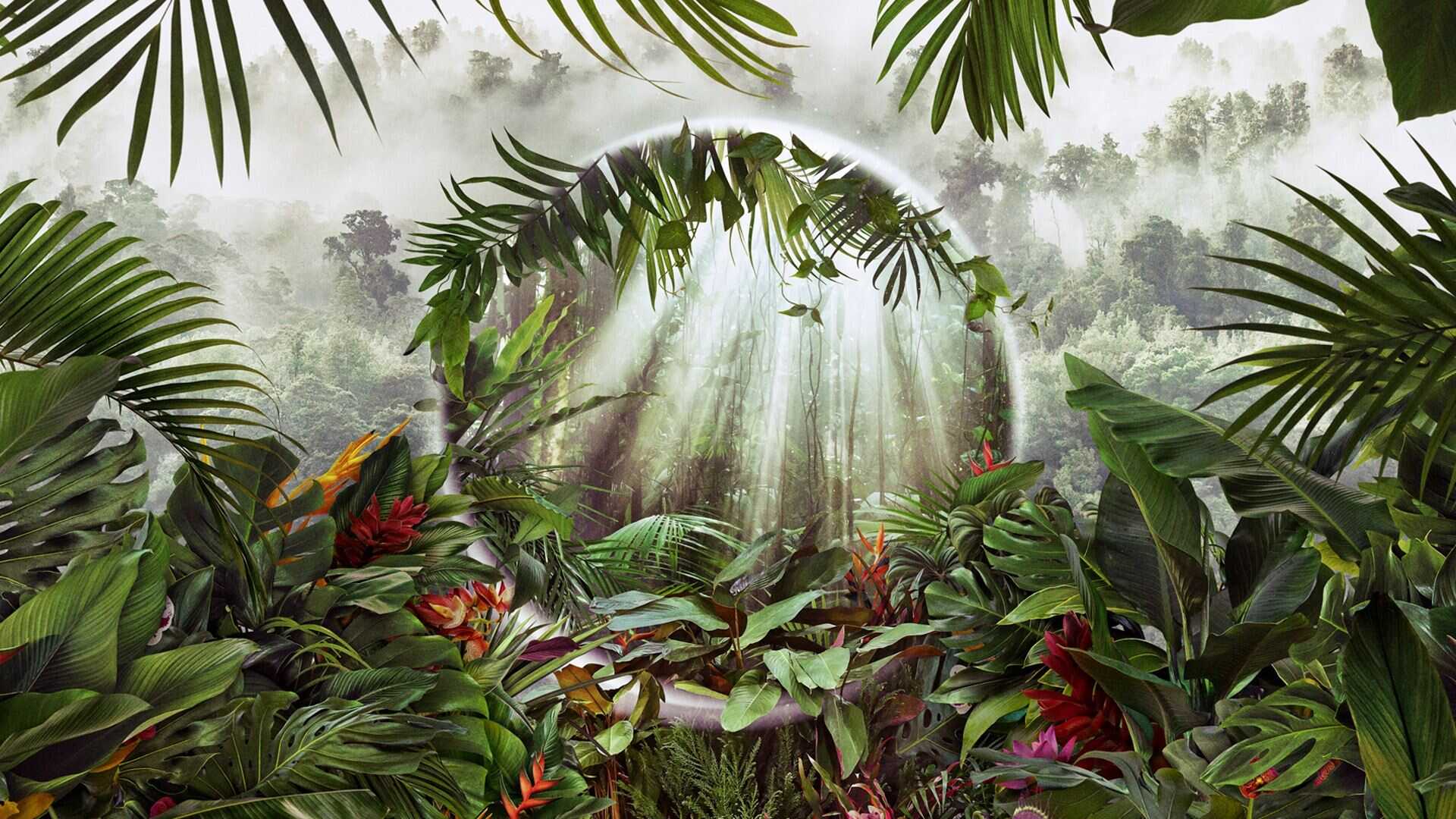 AR - The Green Planet 0