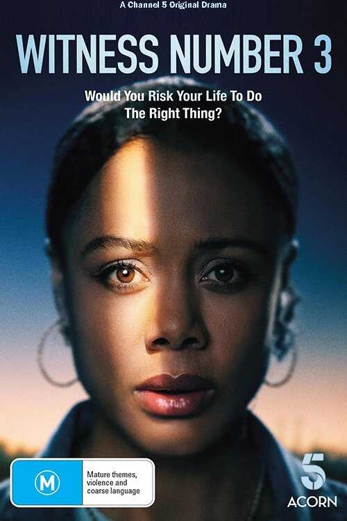 EN - Witness Number 3 (2022) 14