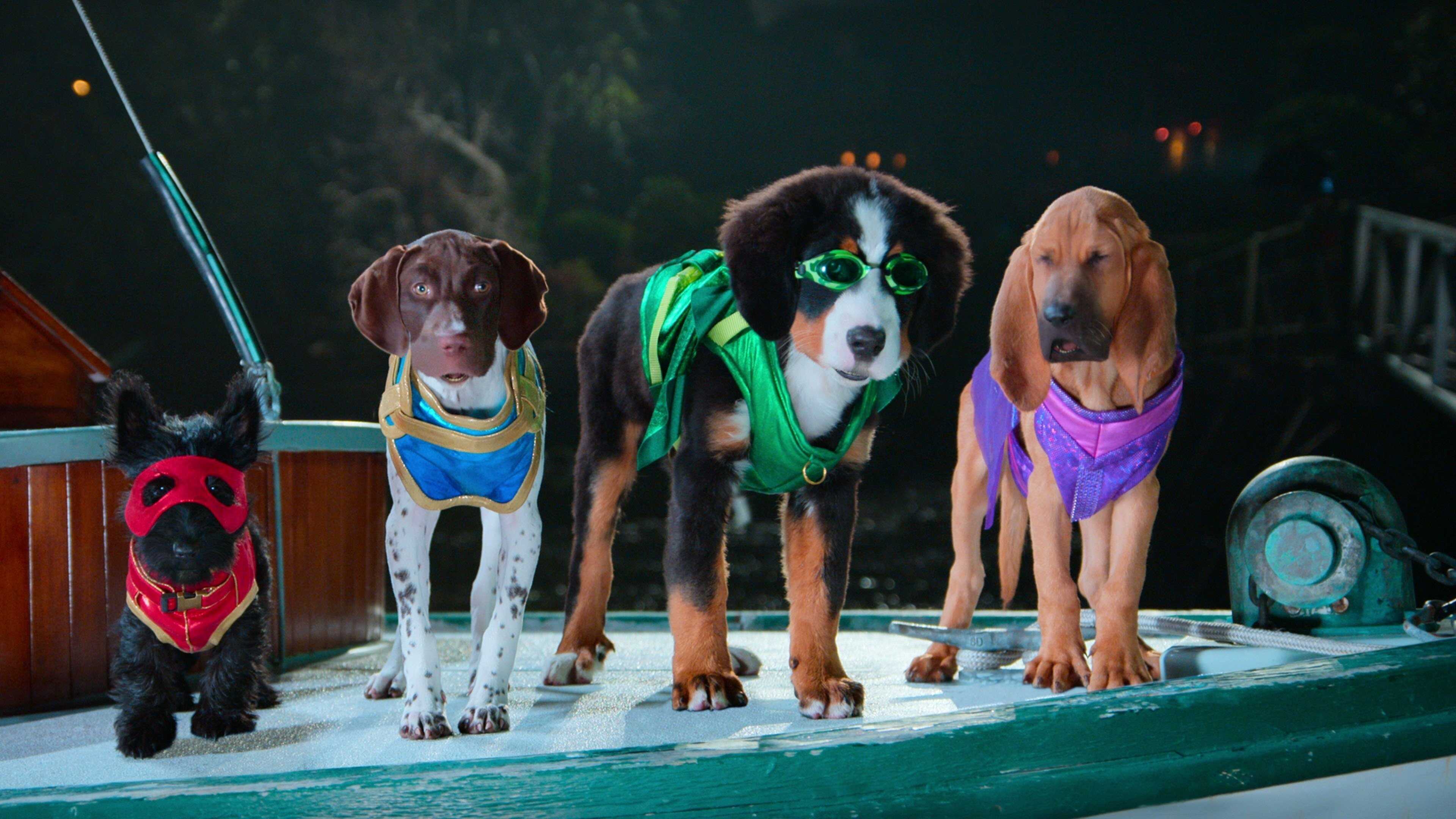 AR - Super PupZ 0