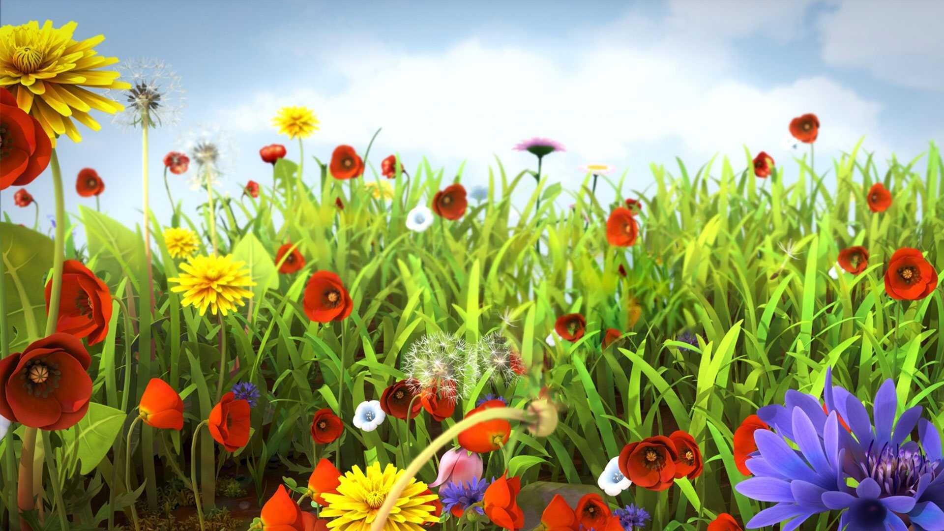 AR - مايا النحلة 0