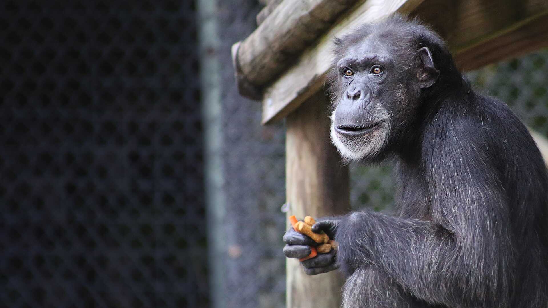 D+ - Secrets of the Zoo: Tampa 0