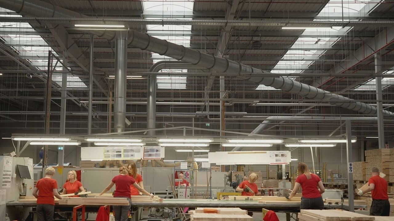 Ikea, le seigneur des forêts (2024) 0