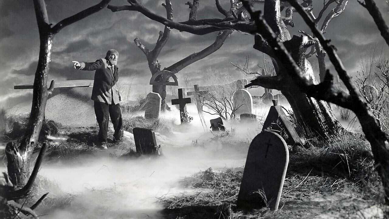 Son of Frankenstein (1939) 0