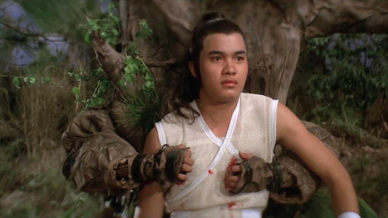 Five Element Ninjas (1982) 0