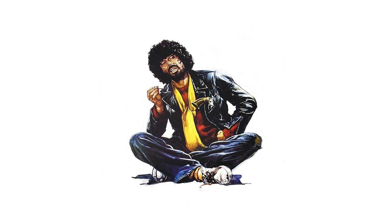 Die Gangster-Akademie (1977) 0