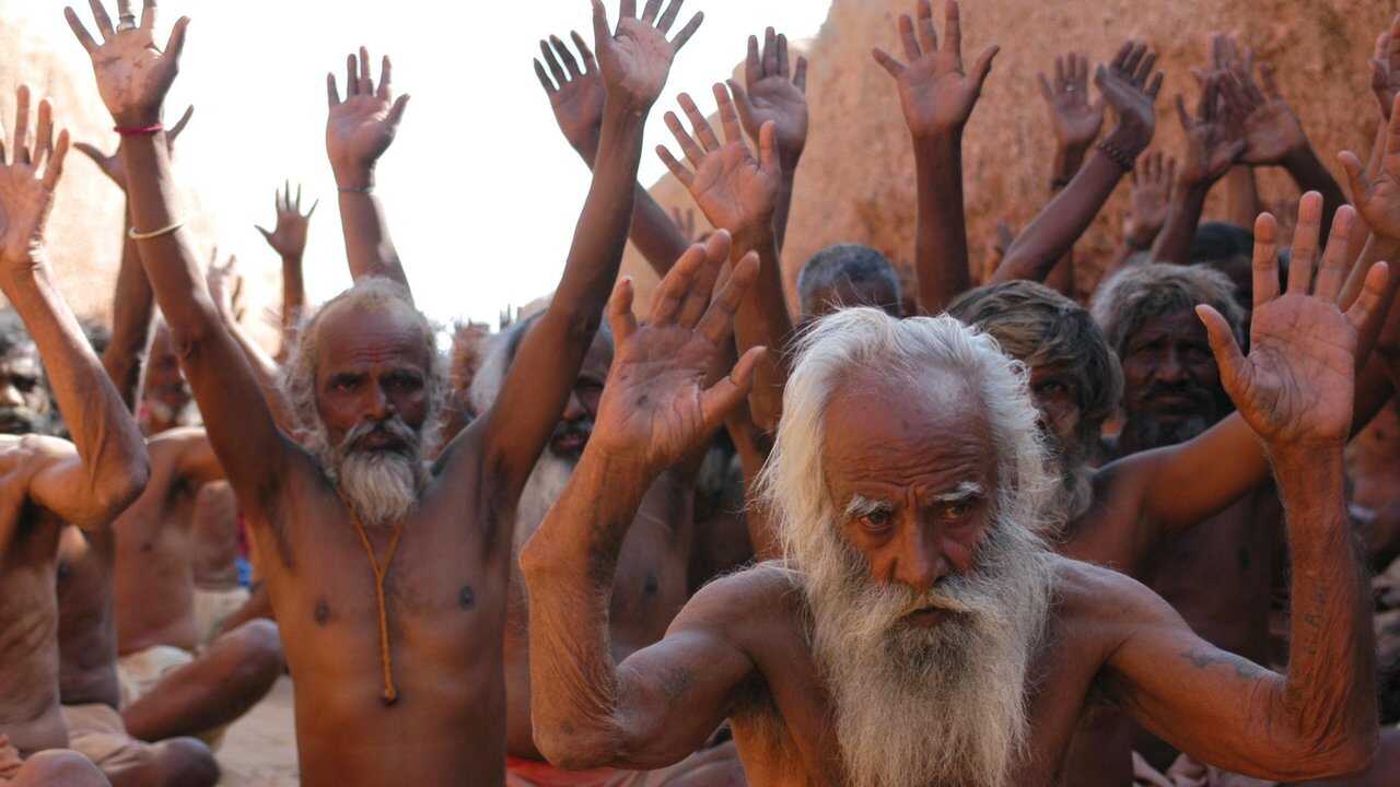 Scream of the Ants (2007) 0