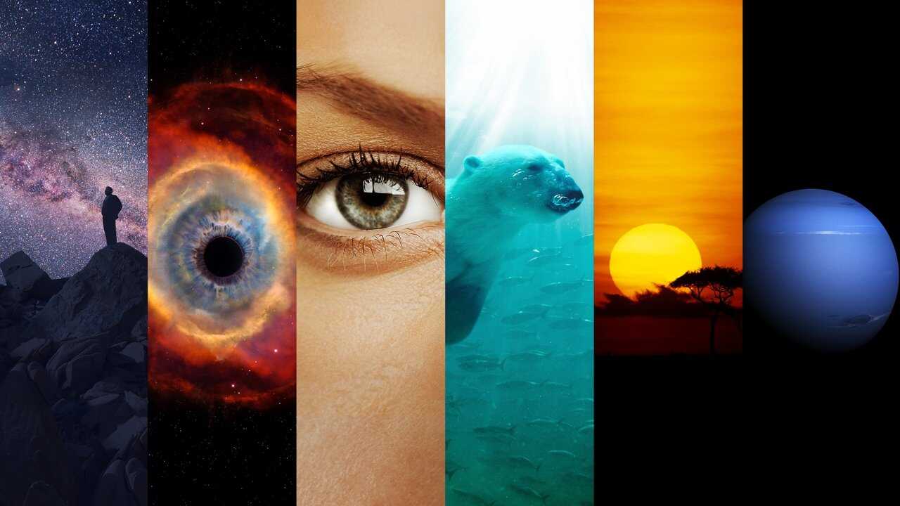 NL - COSMOS (2014) 0