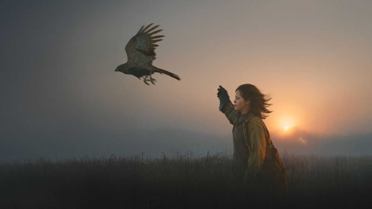 H Is for Hawk (2025) 0