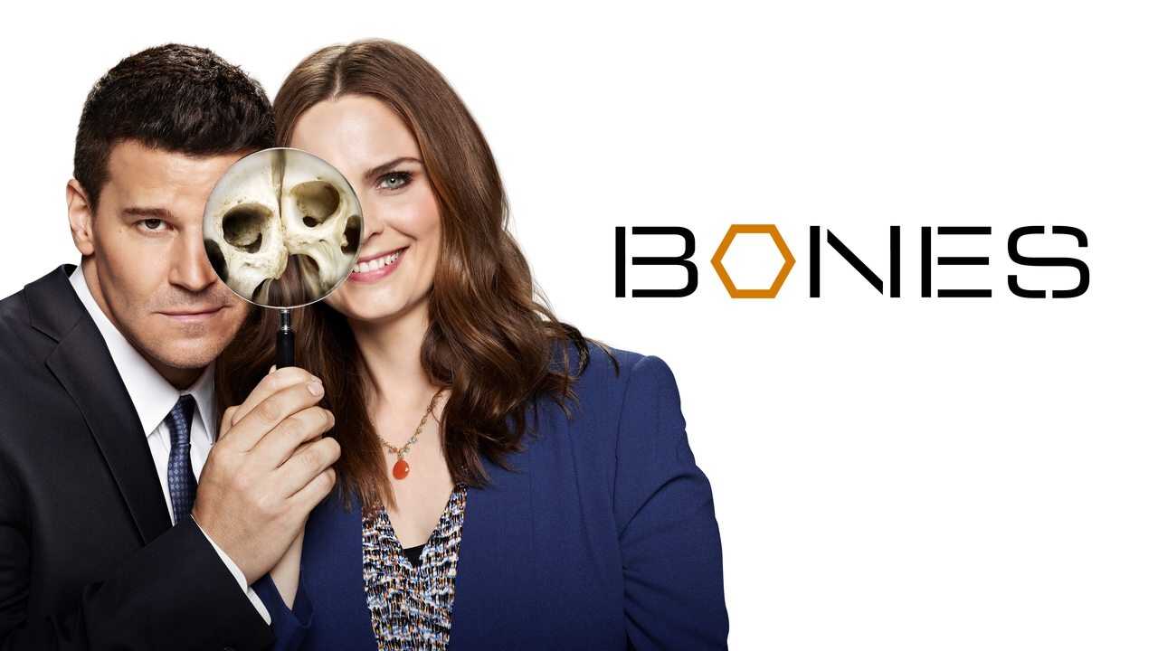 [SE] Bones 0