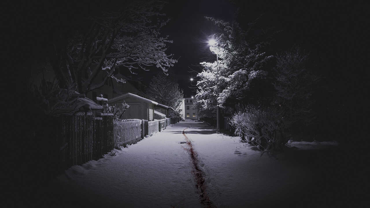 EN - The Valhalla Murders (2019) 0