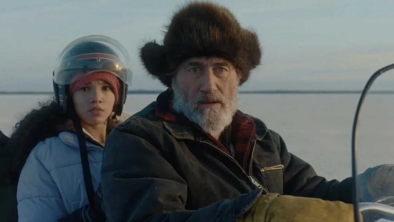 Hair of the Bear (2026) 0