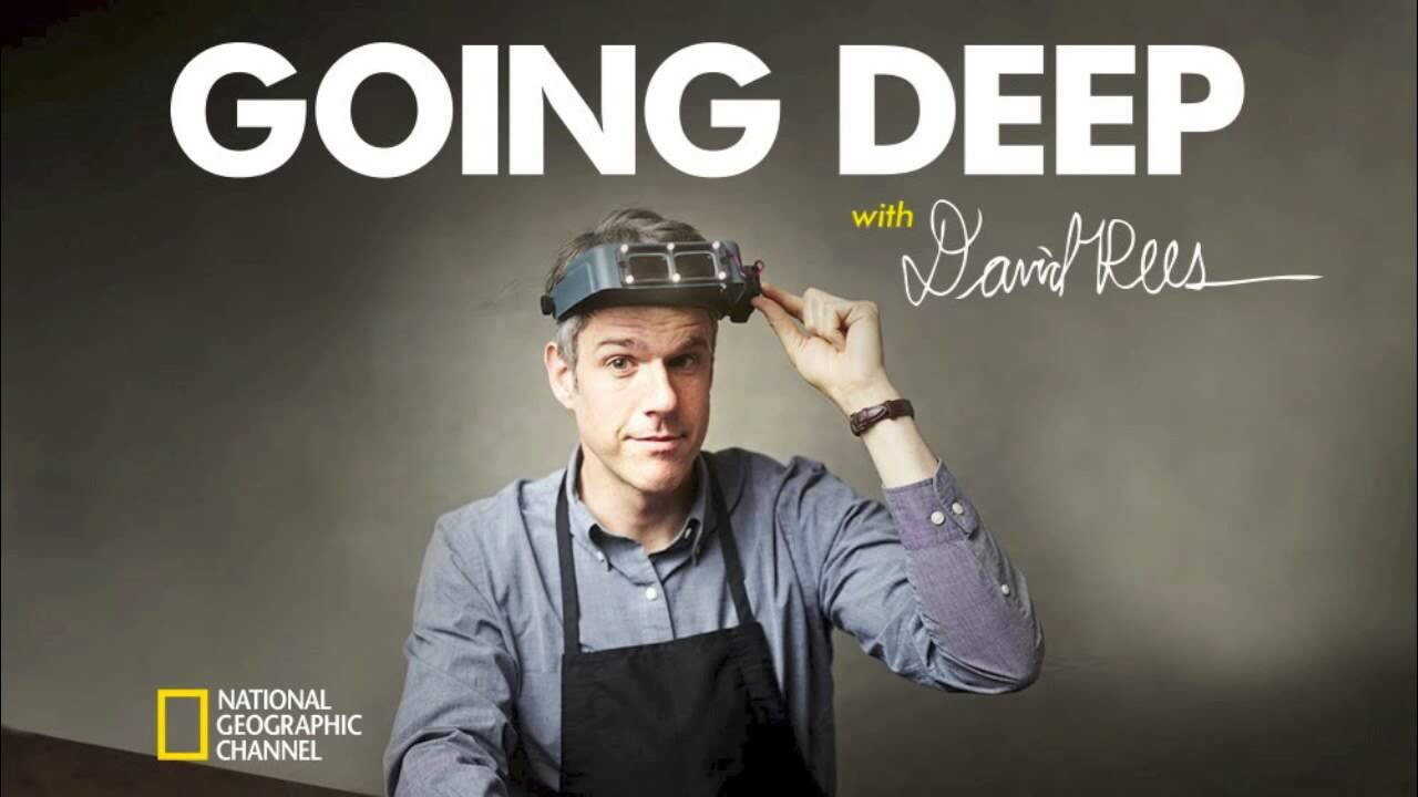 EN - Going Deep With David Rees (2014) (US) 4