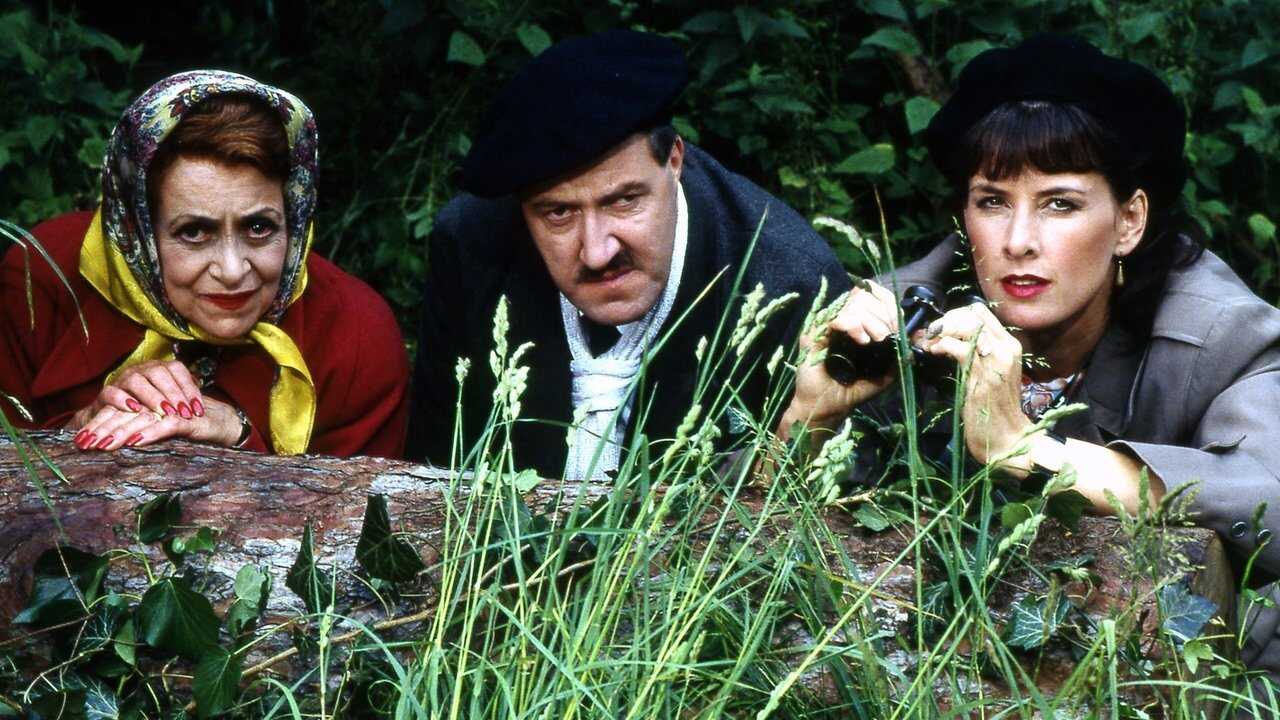 EN - 'Allo 'Allo! (1984) 2