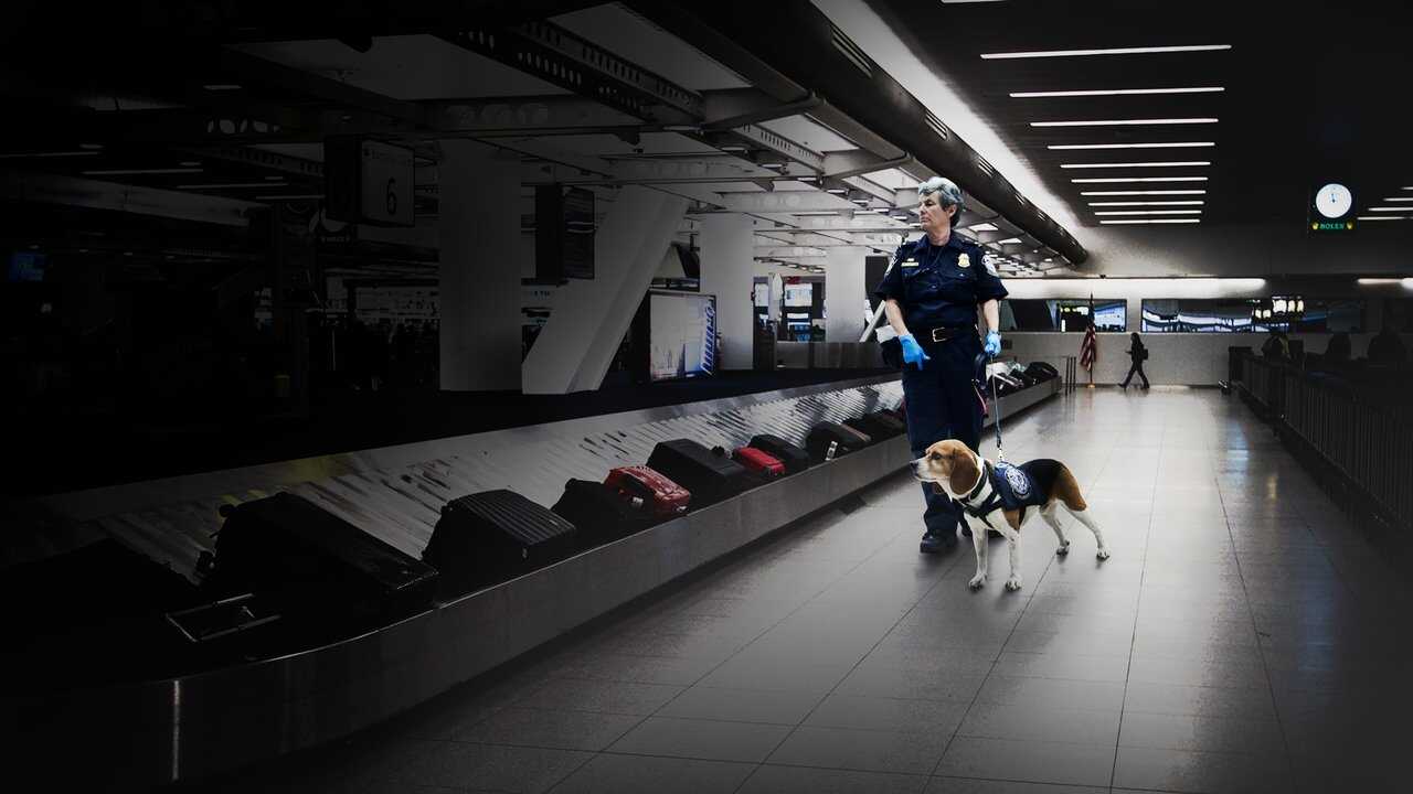 EN - To Catch A Smuggler (2020) (US) 0