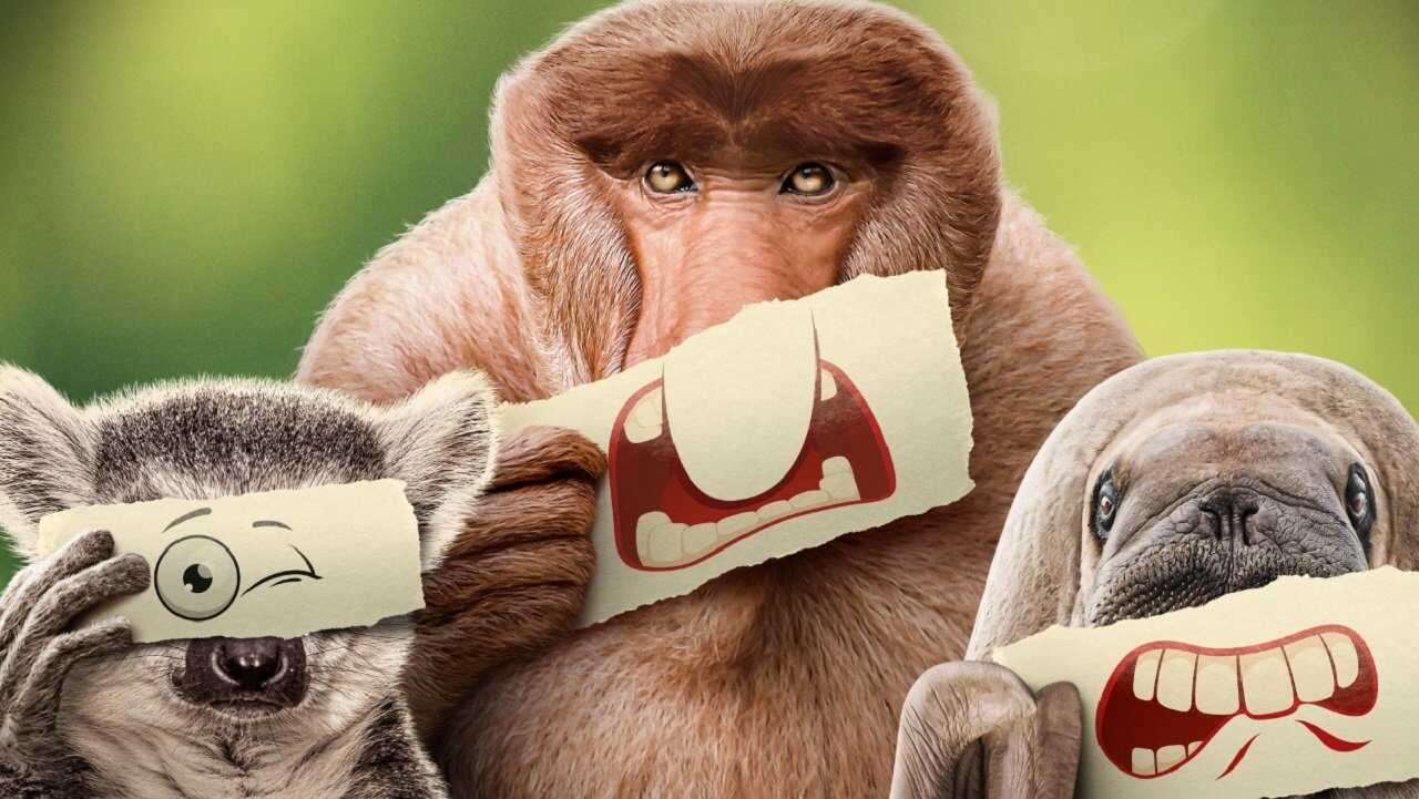 FR - Les outsiders du monde animal (2025) (US) 1