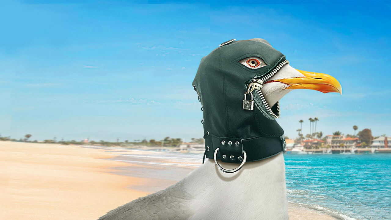 EN - The Guest Book (2017) 4