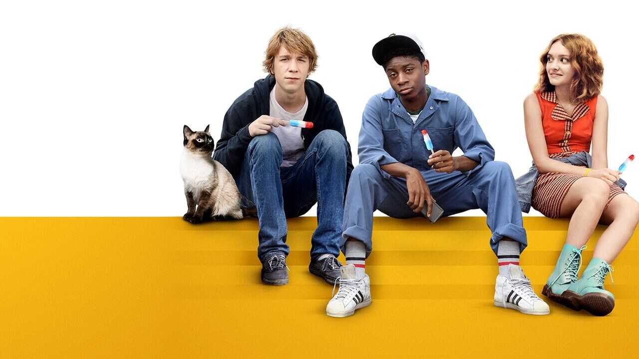 Me and Earl and the Dying Girl (2015) 0