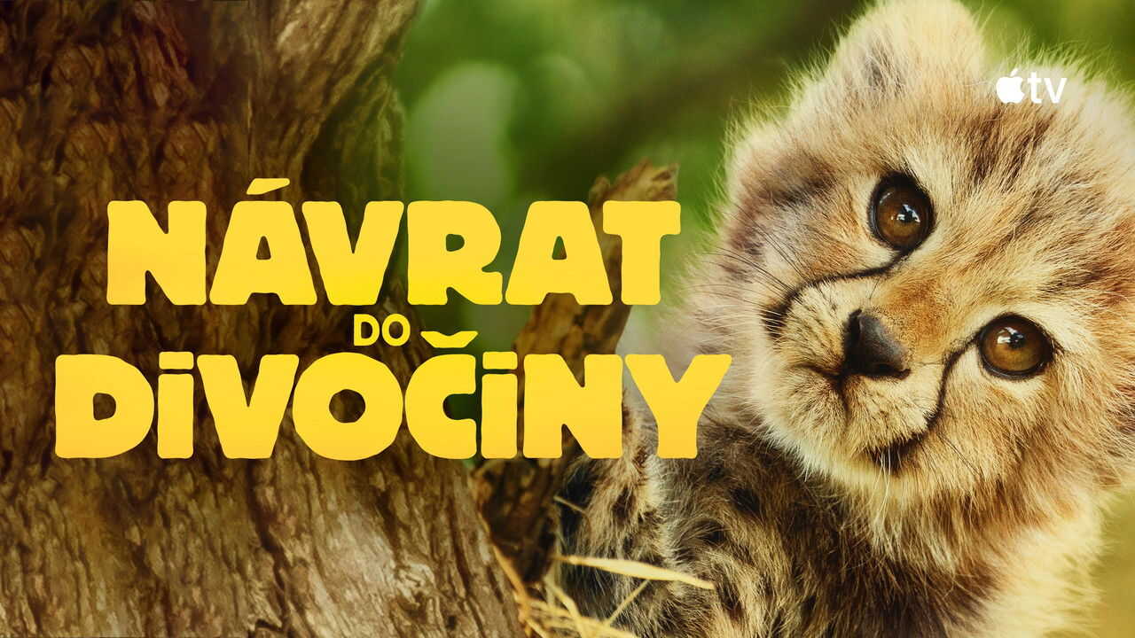 AR - وُلدتُ لأكون متوحشة (2025) (GB) 4