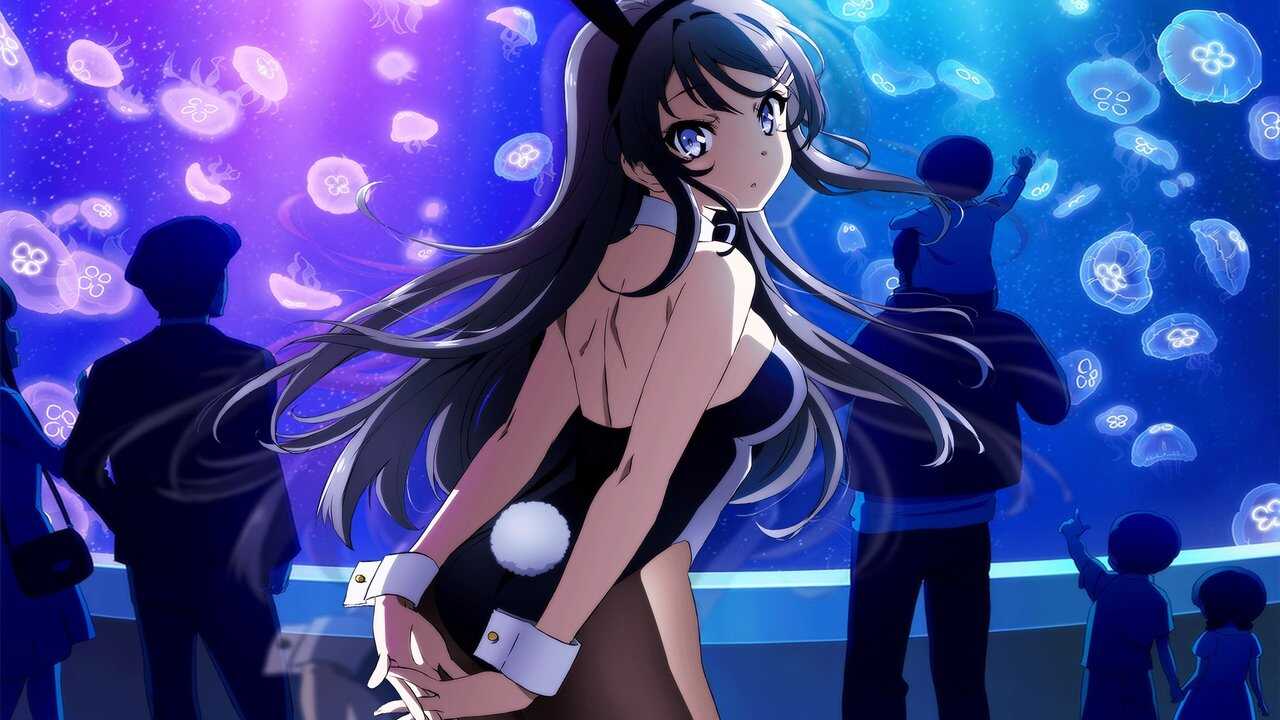 FR - Rascal Does Not Dream of Bunny Girl Senpai (2018) (JP) 4