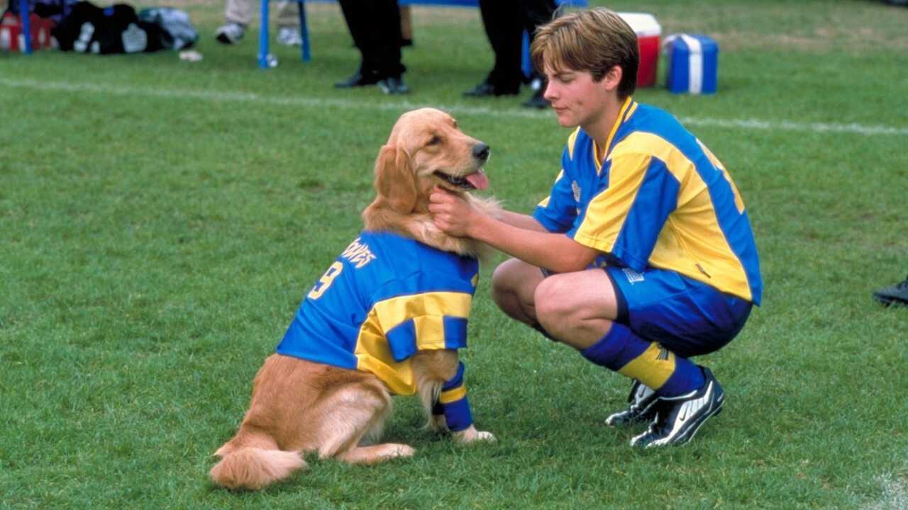 Air Bud 3 - World Pup (2001) 0