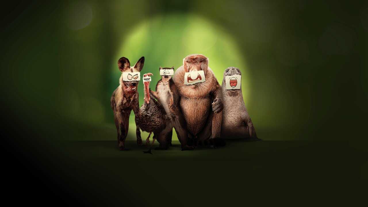 FR - Les outsiders du monde animal (2025) (US) 0