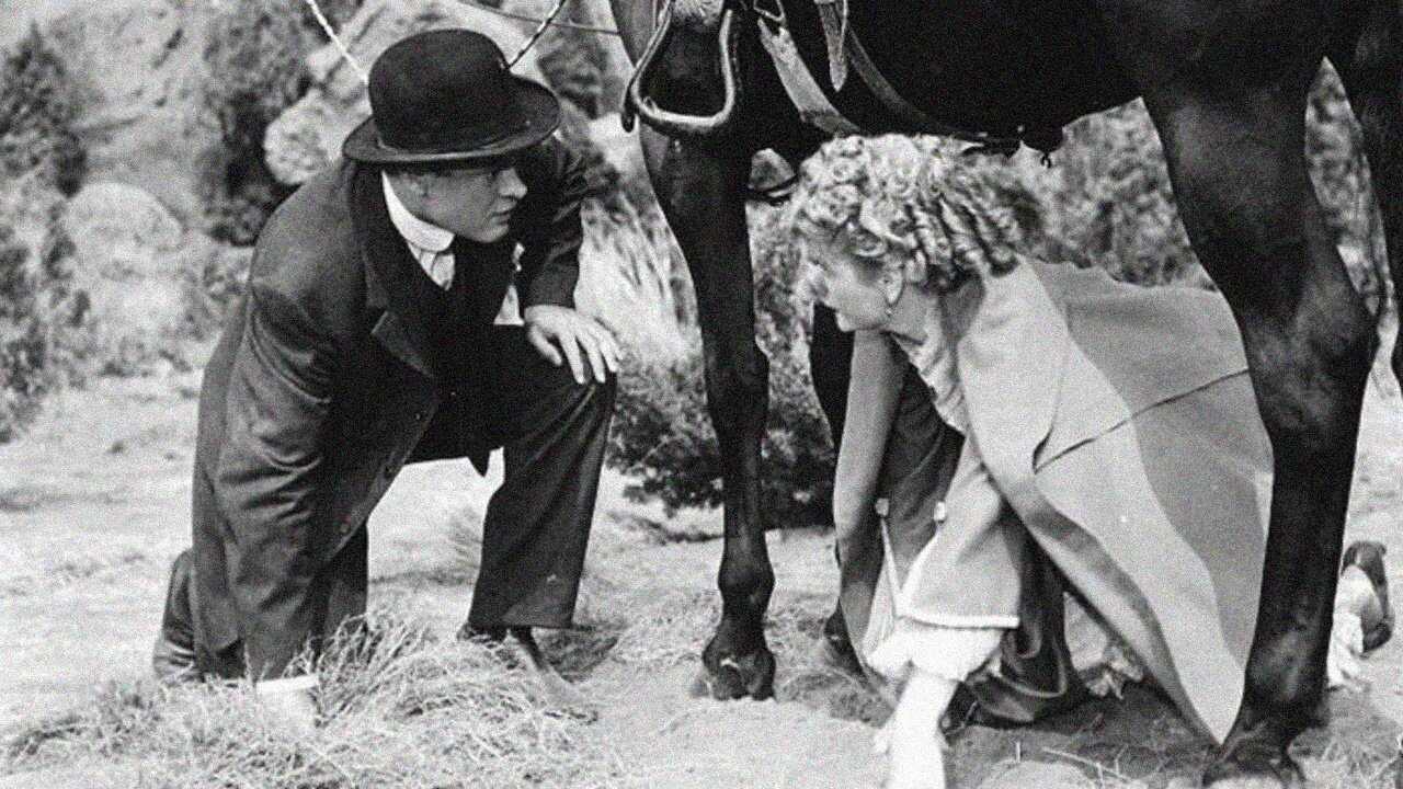 Fancy Pants (1950) 0