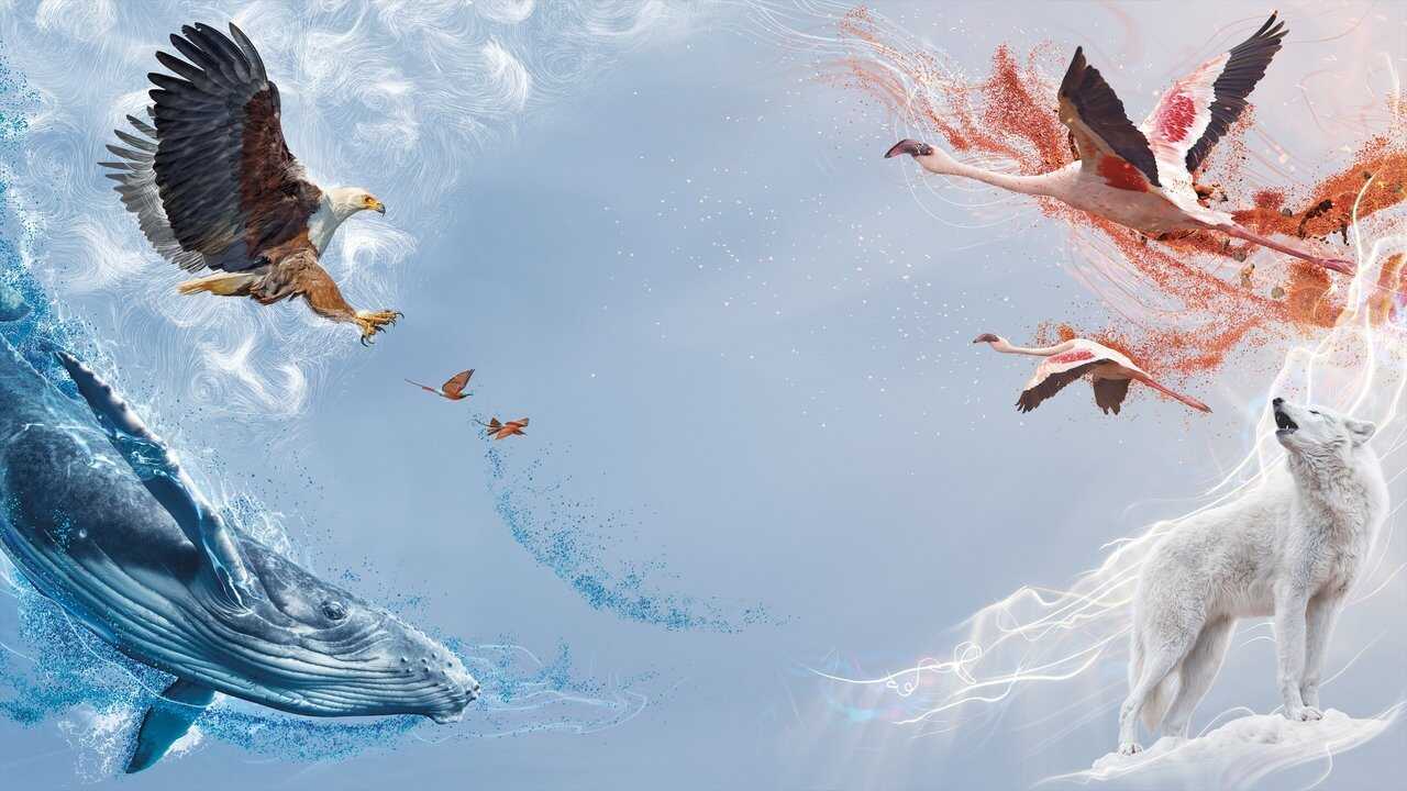 EN - A Perfect Planet 4K (2021) 0