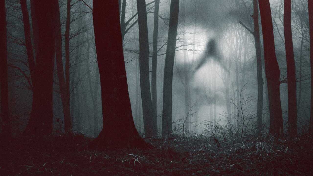 NF - 28 Days Haunted 0