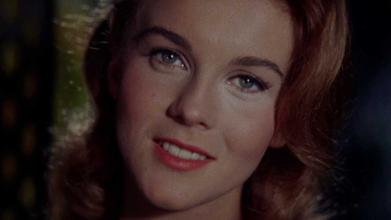 Bye Bye Birdie (1963) 0