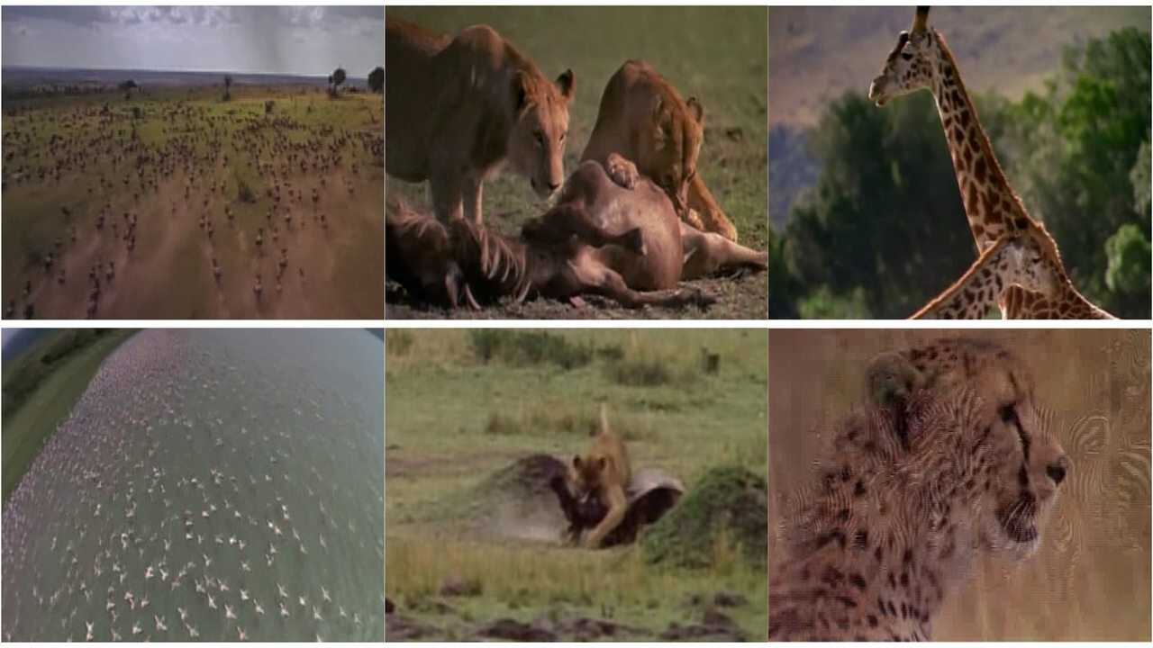 Africa: The Serengeti (1994) 0