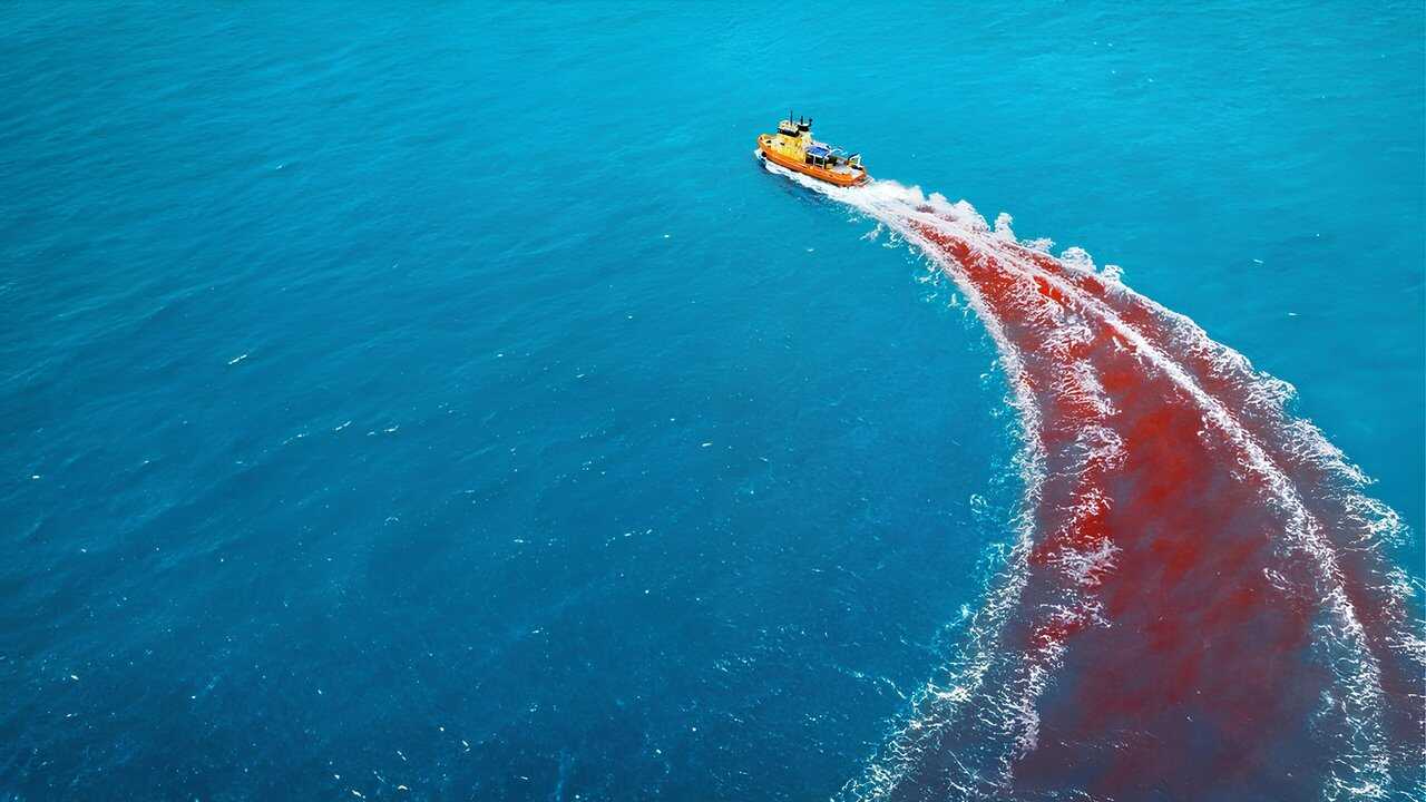 Dangerous Animals (2025) 0