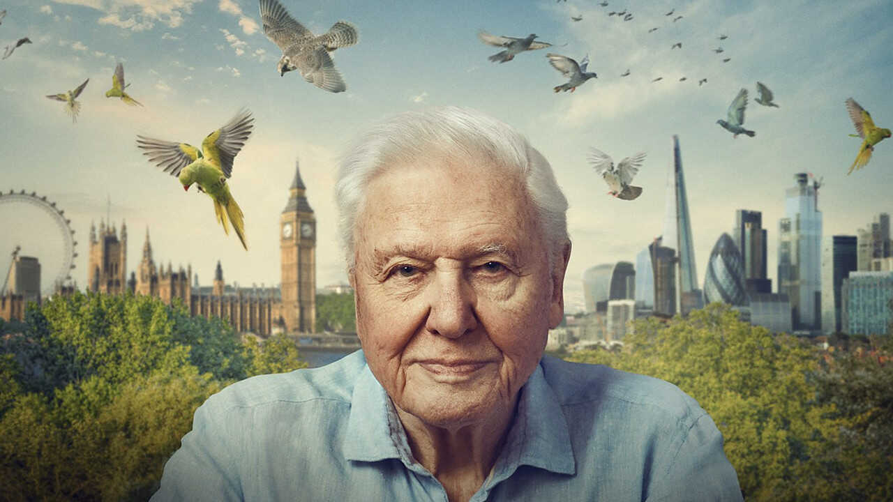 Wild London (2026) 0