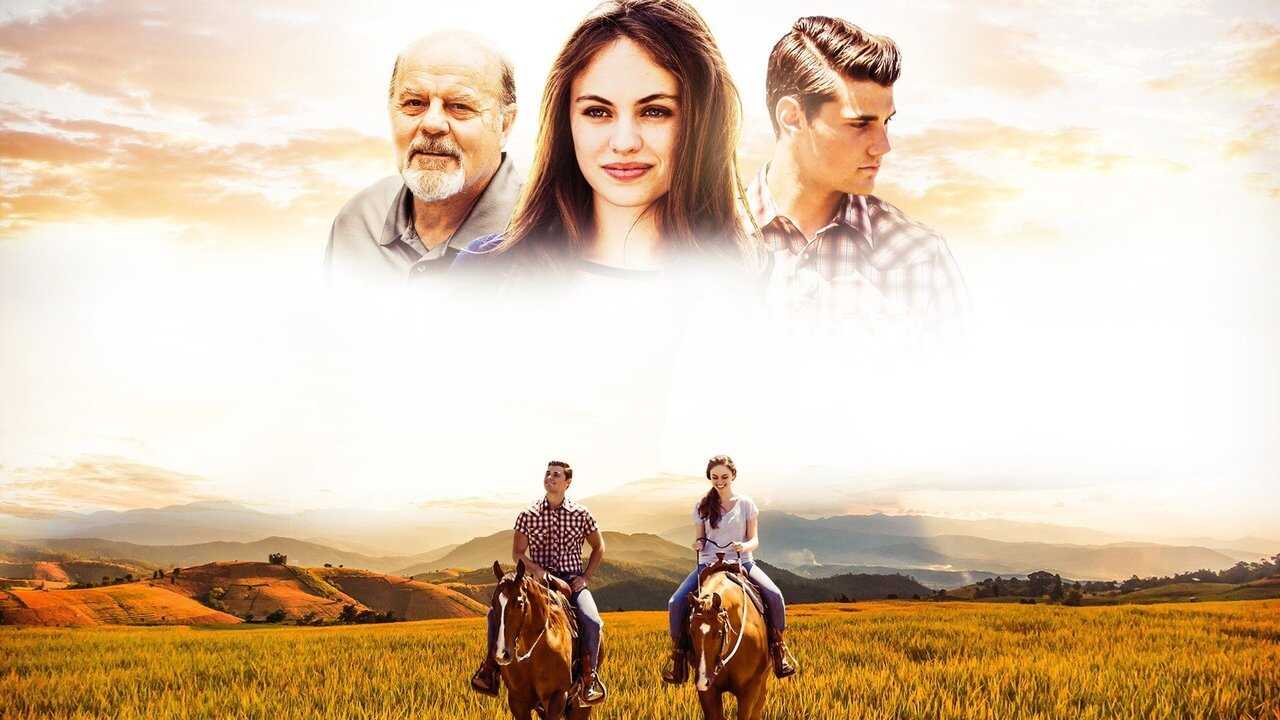 Wo dein Schatz ist, da ist auch dein Herz (2017) 0