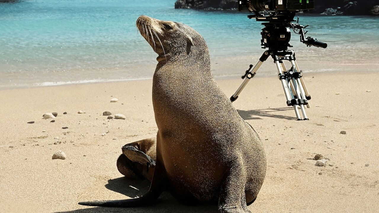 Guardians of the Galapagos (2025) 0