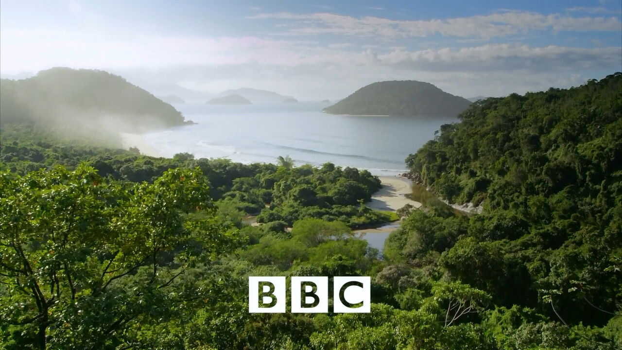 EN - Wild Brazil (2014) 1