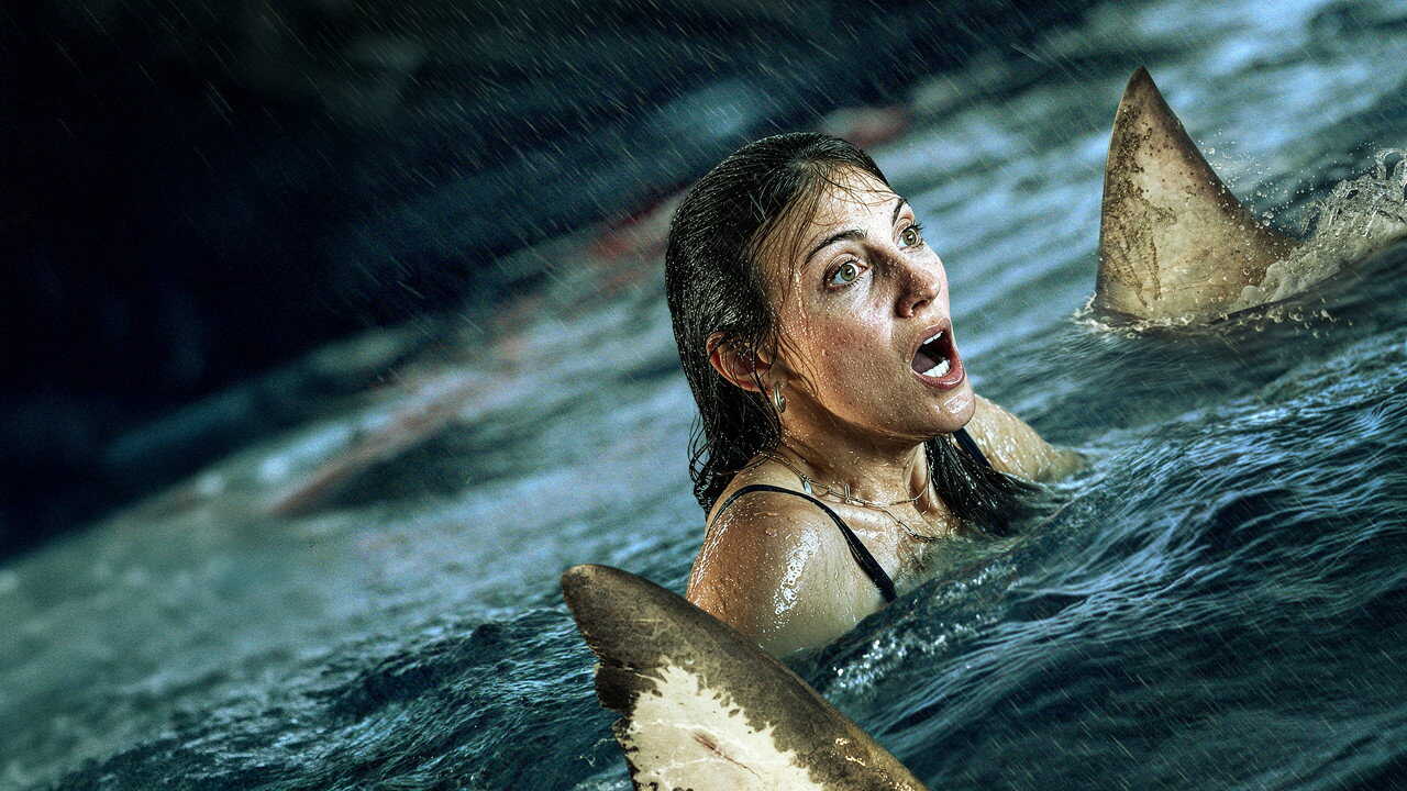Shark Thrash 0