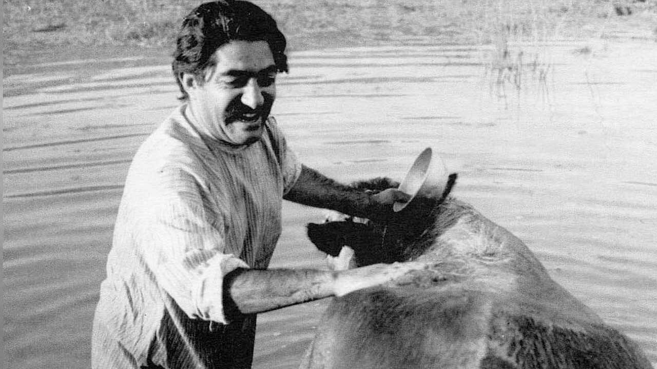 The Cow (1969) 0