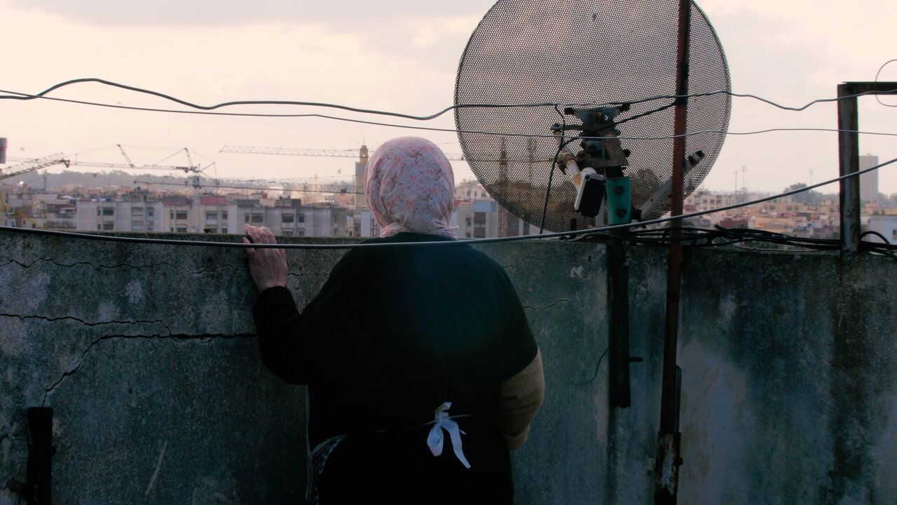 كذب أبيض (2024) 0