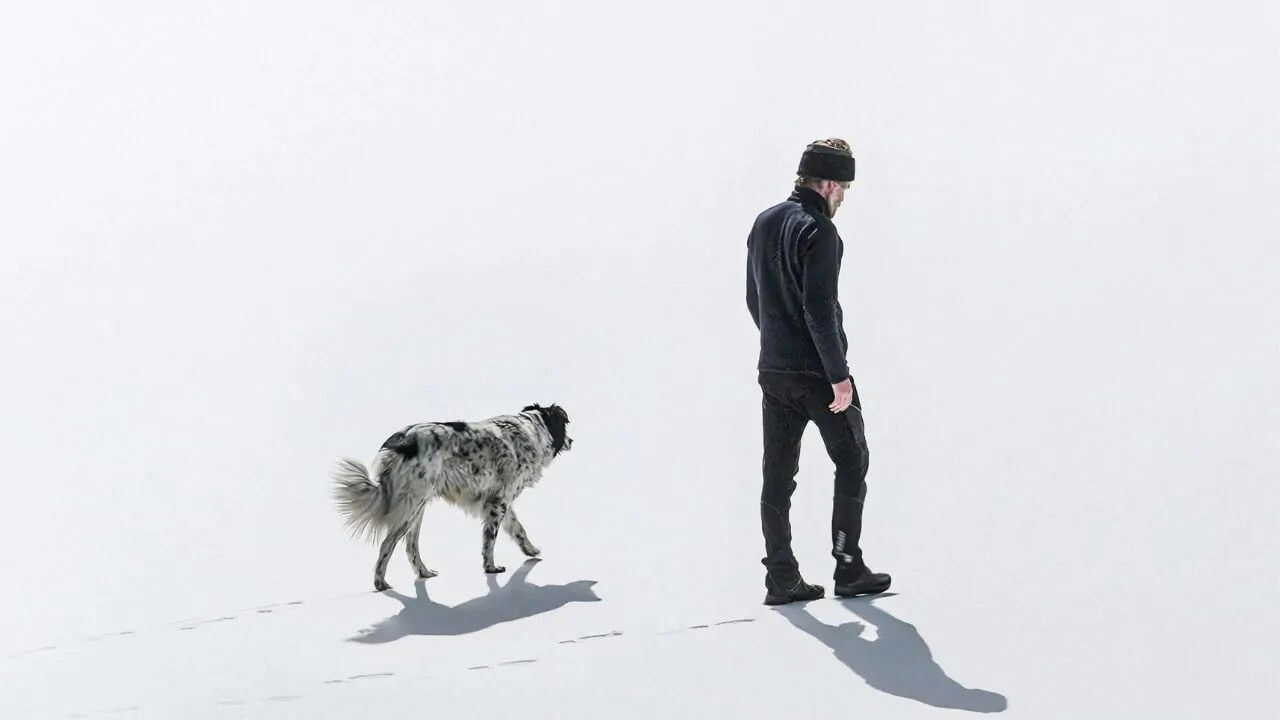 A Flower of Mine (2024) 0