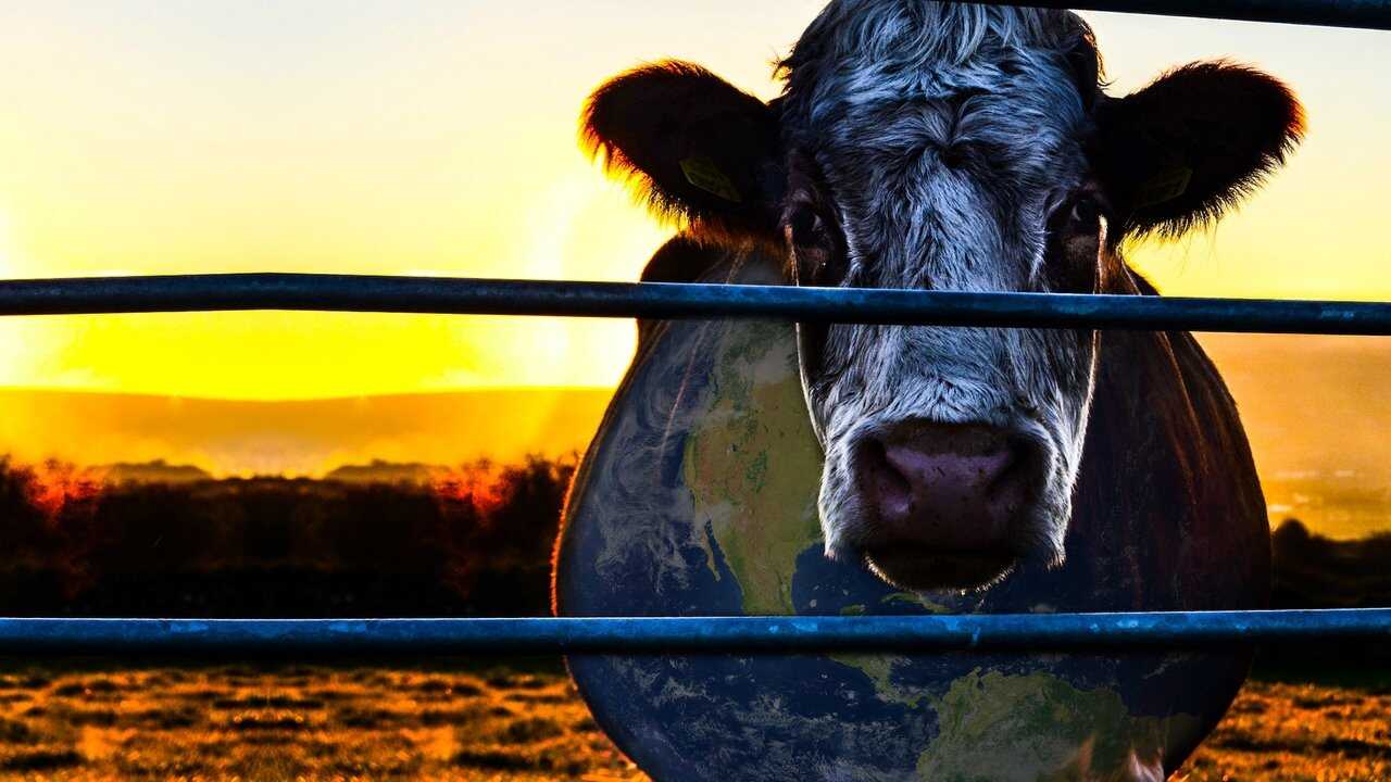 Cowspiracy: The Sustainability Secret (2014) 0