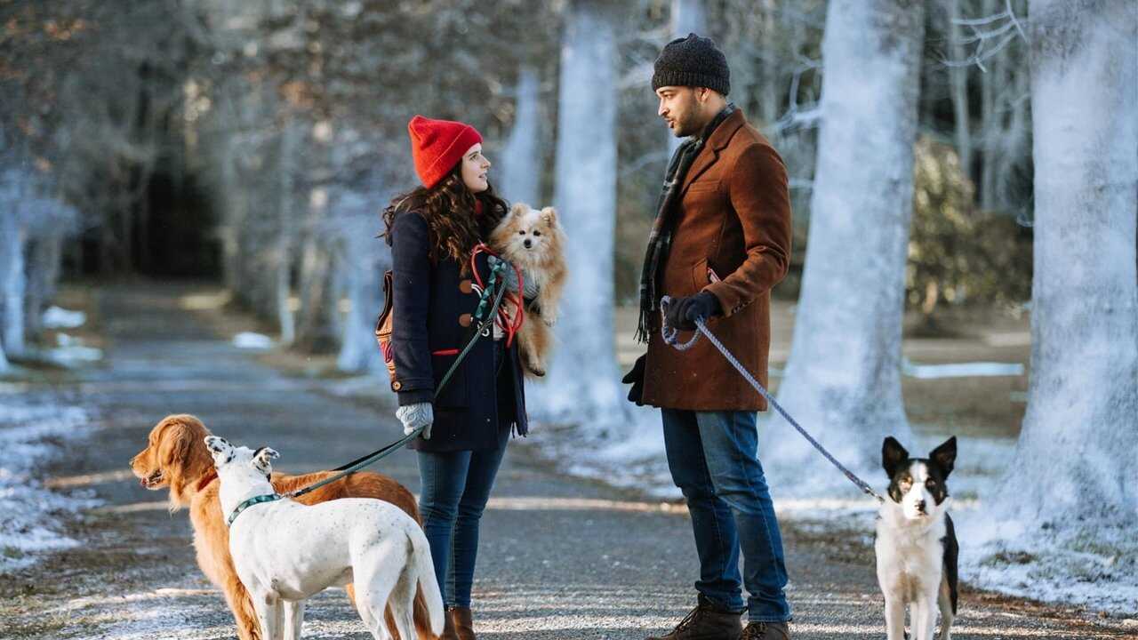 Puppy Love for Christmas 0