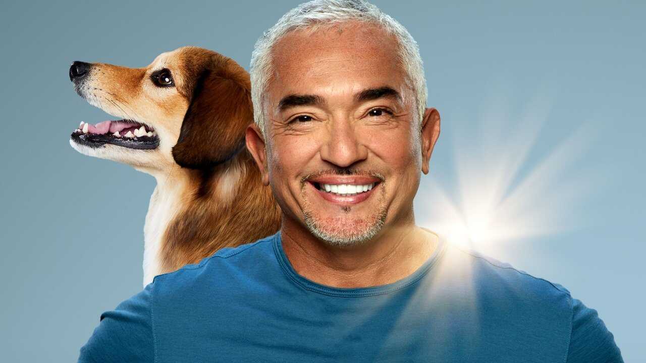 EN - Cesar Millan: Better Human, Better Dog (2021) 2