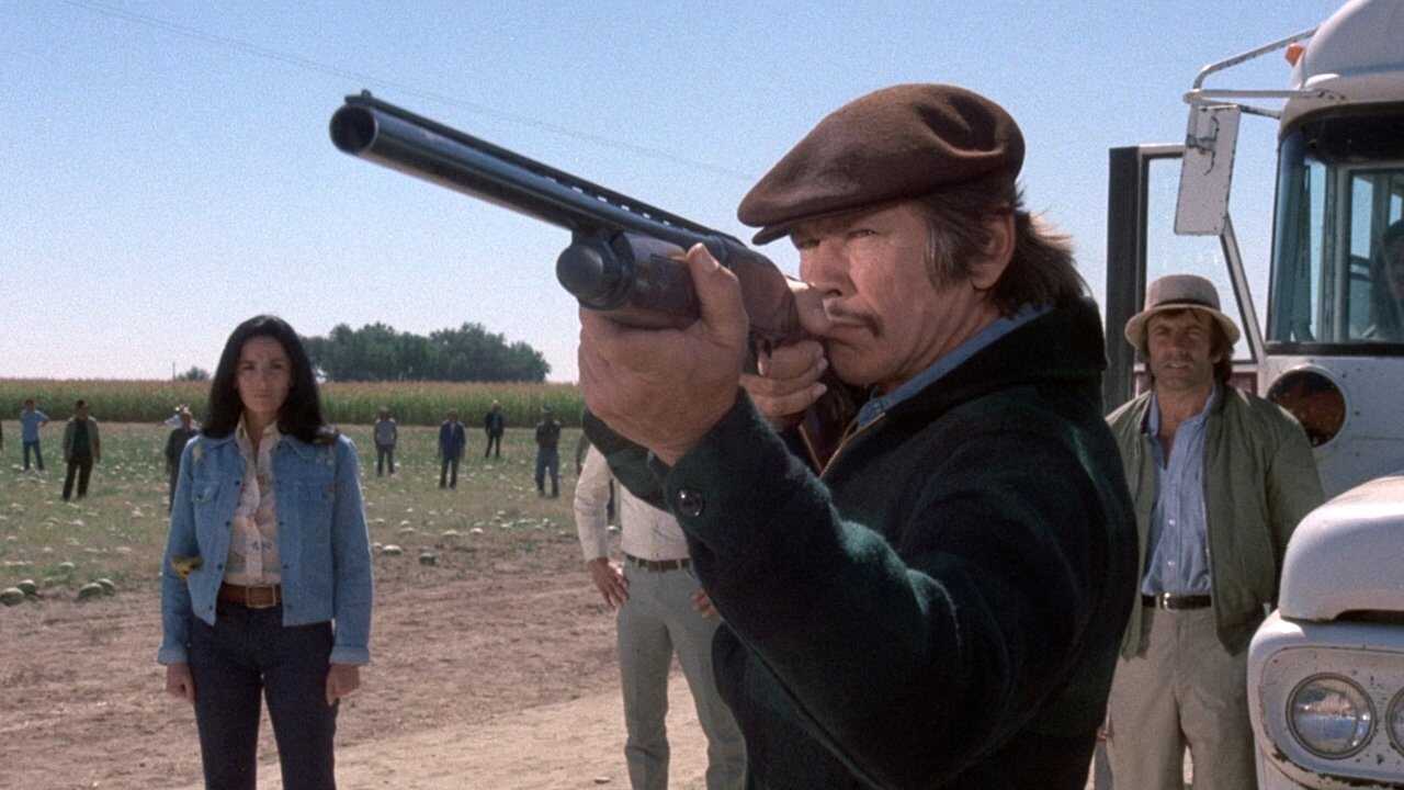 Das Gesetz bin ich (1974) 0