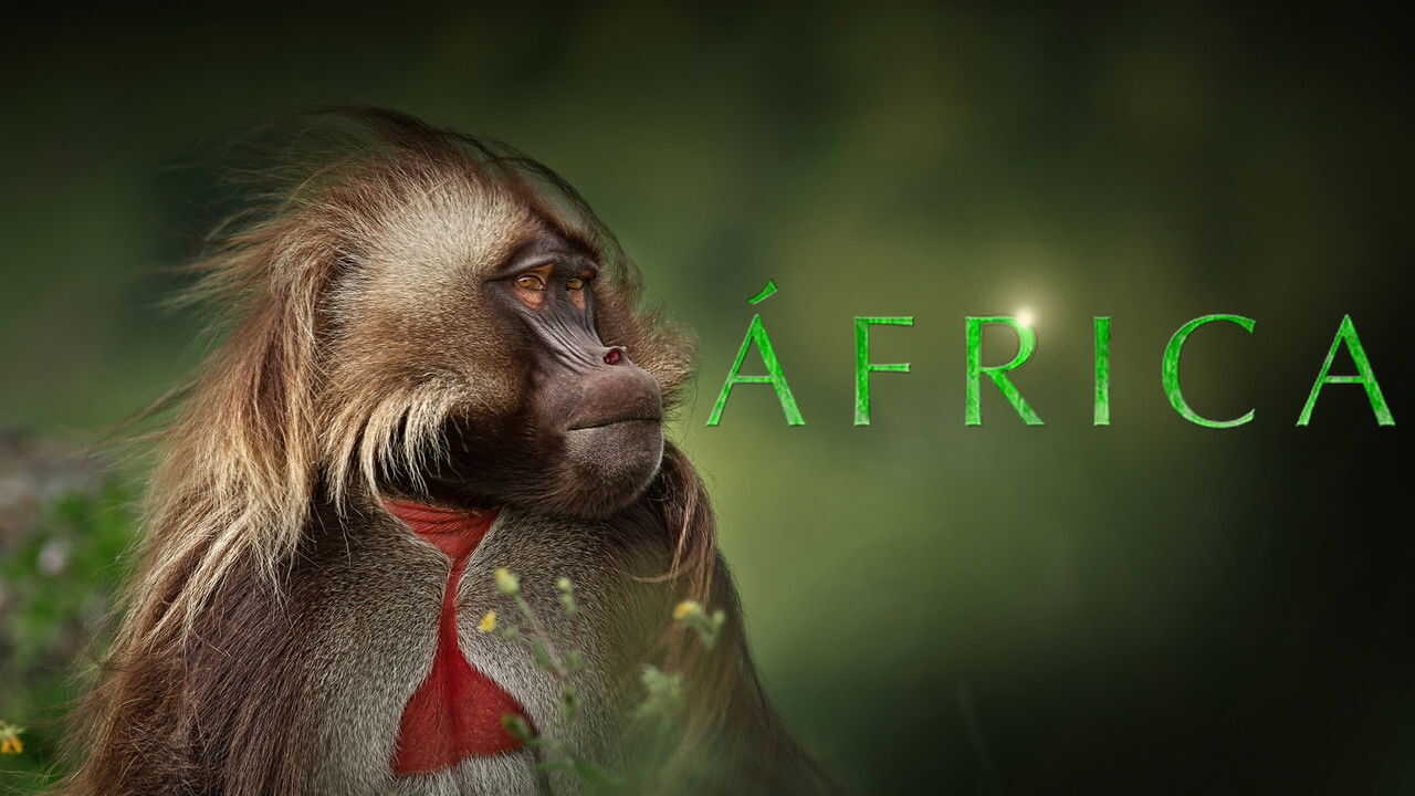 EN - Africa (2013) 2